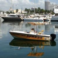 Water Taxi Miami