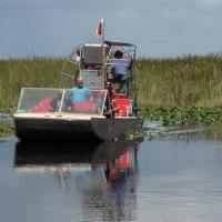 Buffalo Tiger's Airboat Tours