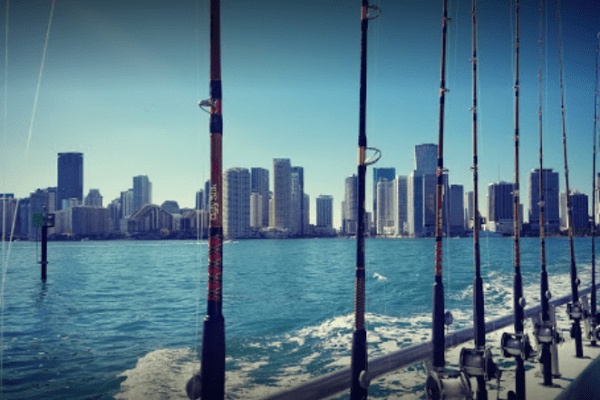 Mejores Botes de Pesca y Mejotes Tours Acuaticos en Miami